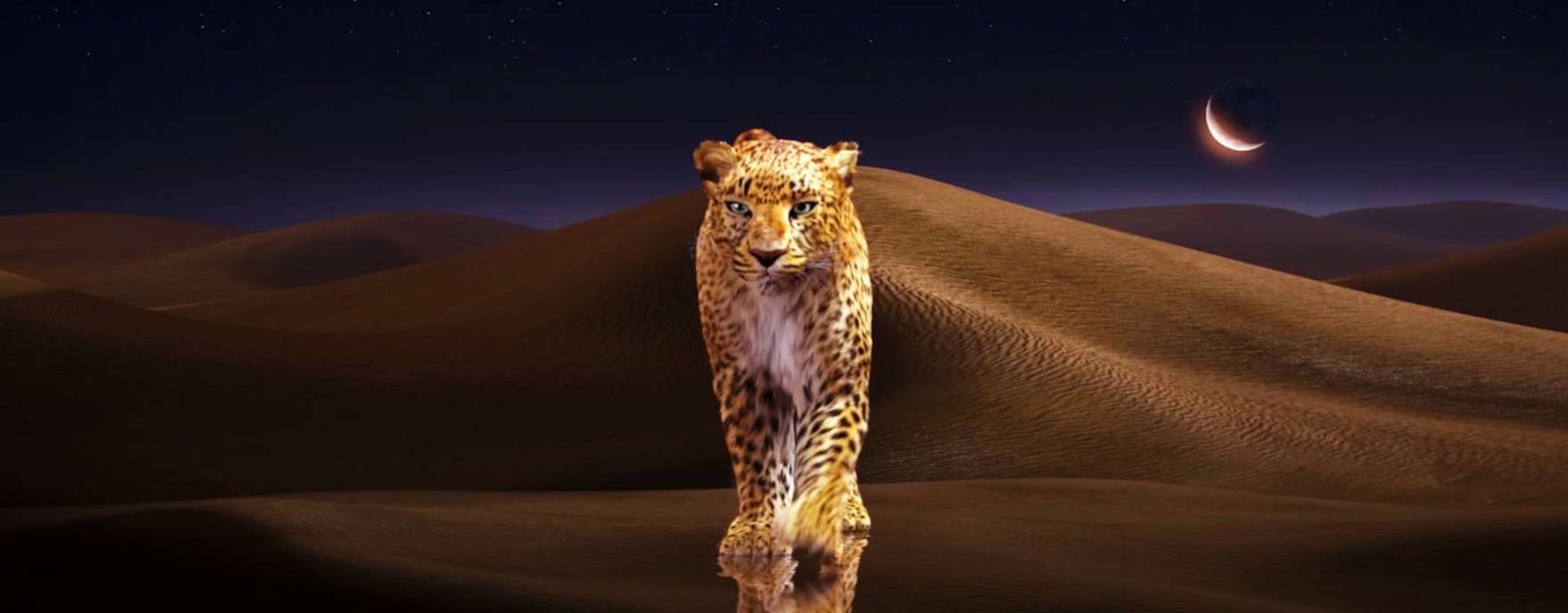 Cartier, Soirée Cartier Dubaï